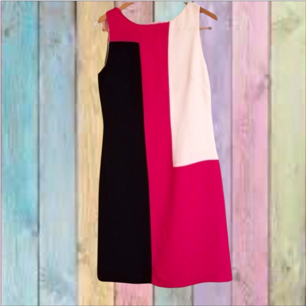 Amanda Smith Black Fuschia Pink Sheath Lined Dress